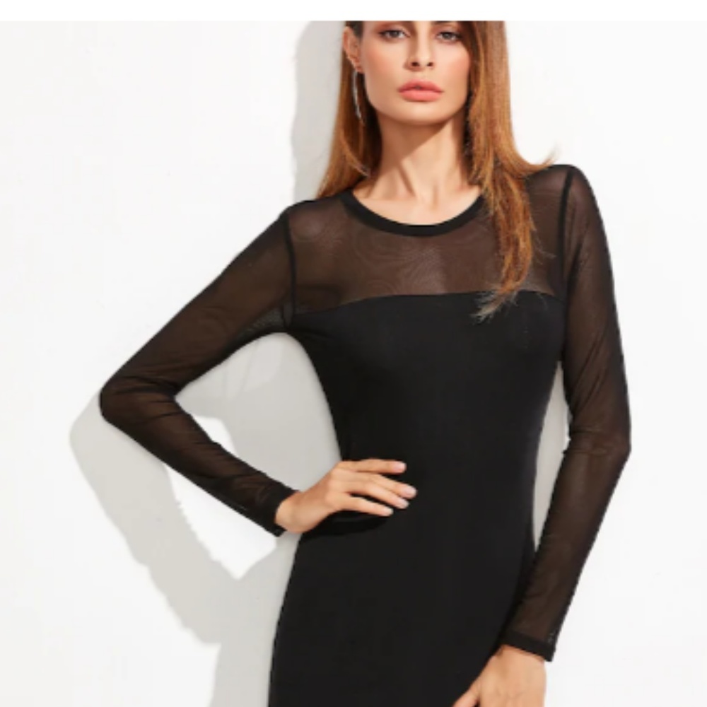 Contrast Sheer Mesh Bodycon Dress